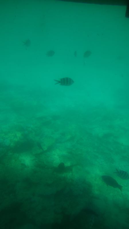 vue depuis sous marin semi-submersible