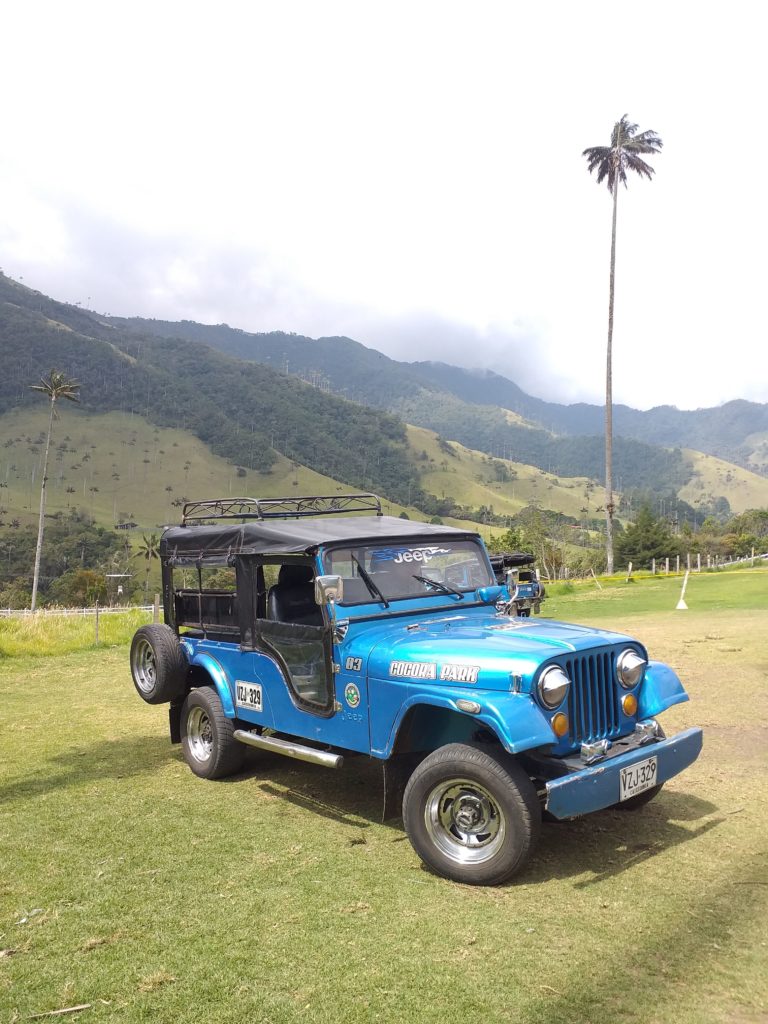 Vallée Cocora - Colombie