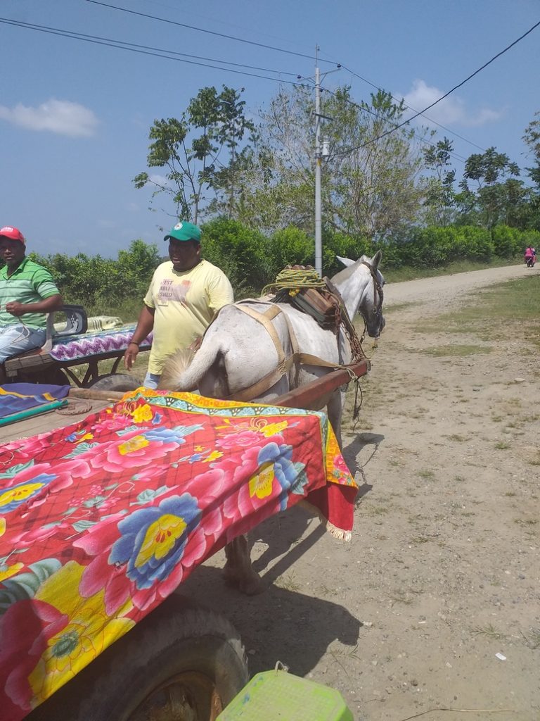 carriole capurgana colombie