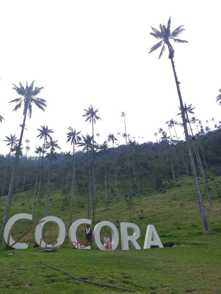 cocora valley colombie