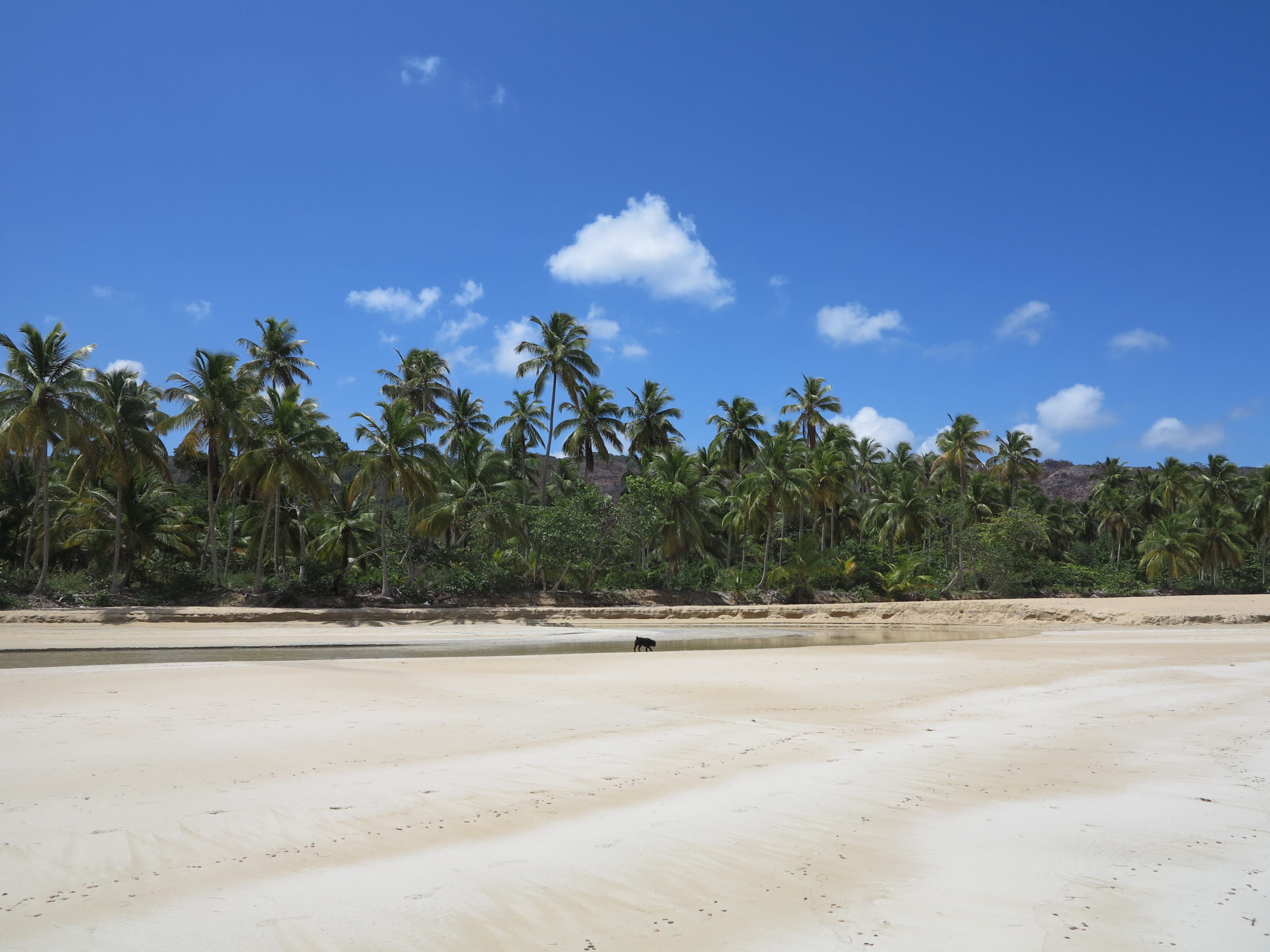 plage direction playa coson