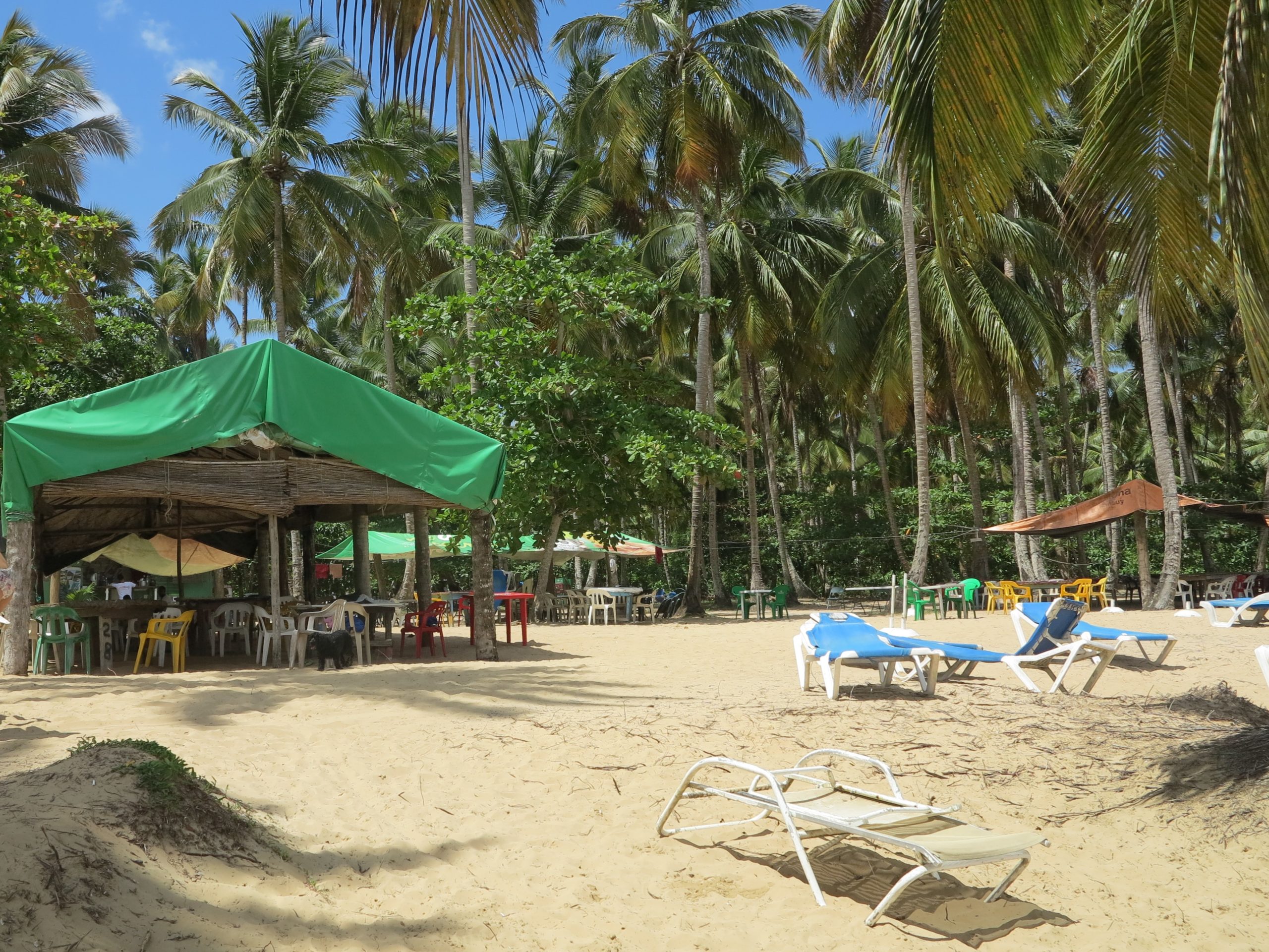 restaurant chez Luis Las Terrenas