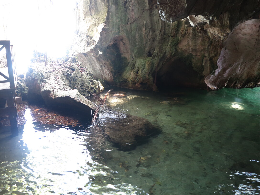 los haitises grotte