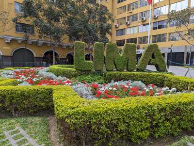 lima vegetation