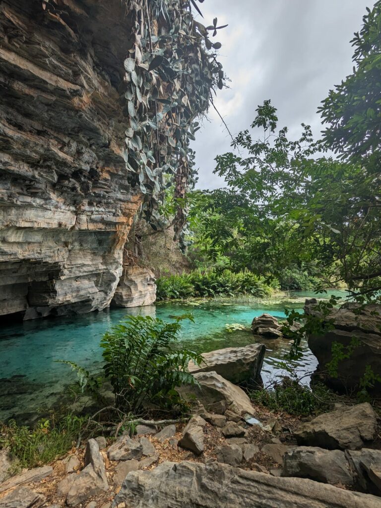 fazenda pratinha snorkelling