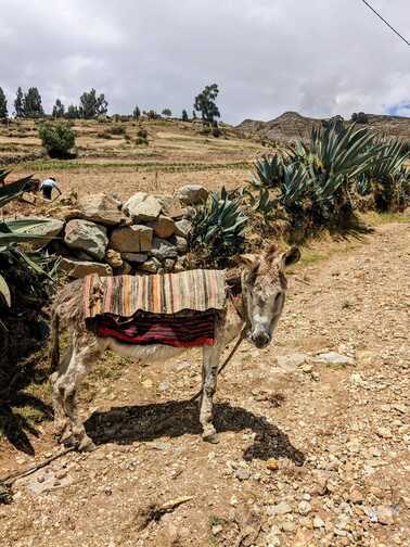 willcacocha huaraz perou ane