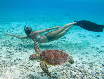 snorkeling ile plate ile maurice