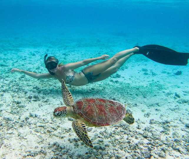 snorkeling ile plate ile maurice