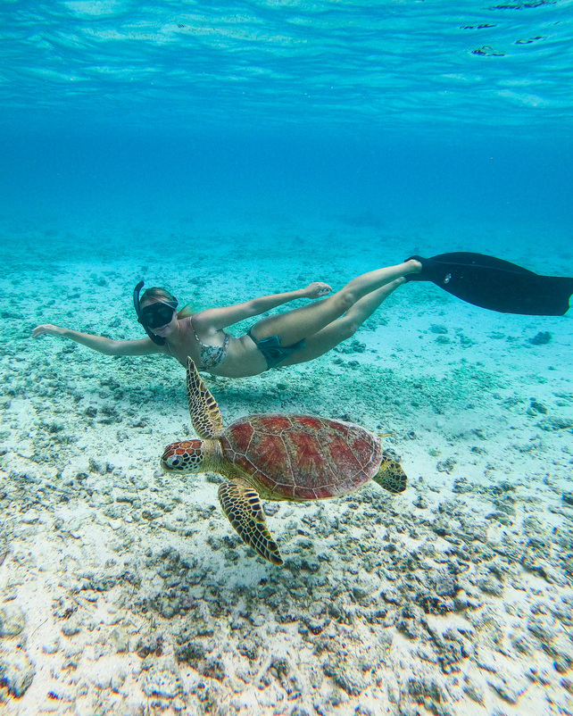 snorkeling ile plate ile maurice