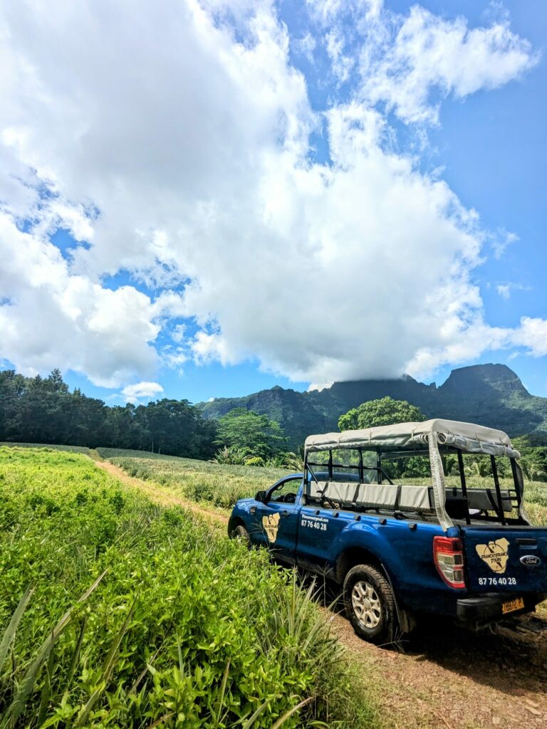 franckyfrank tours moorea