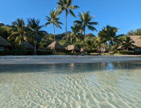 plage tipaniers moorea