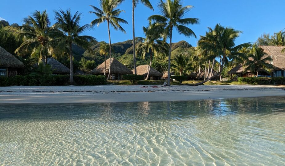 plage tipaniers moorea