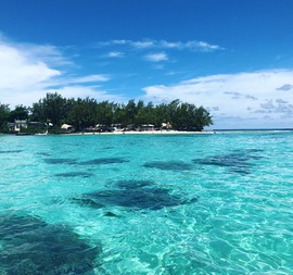 snorkeling blue bay