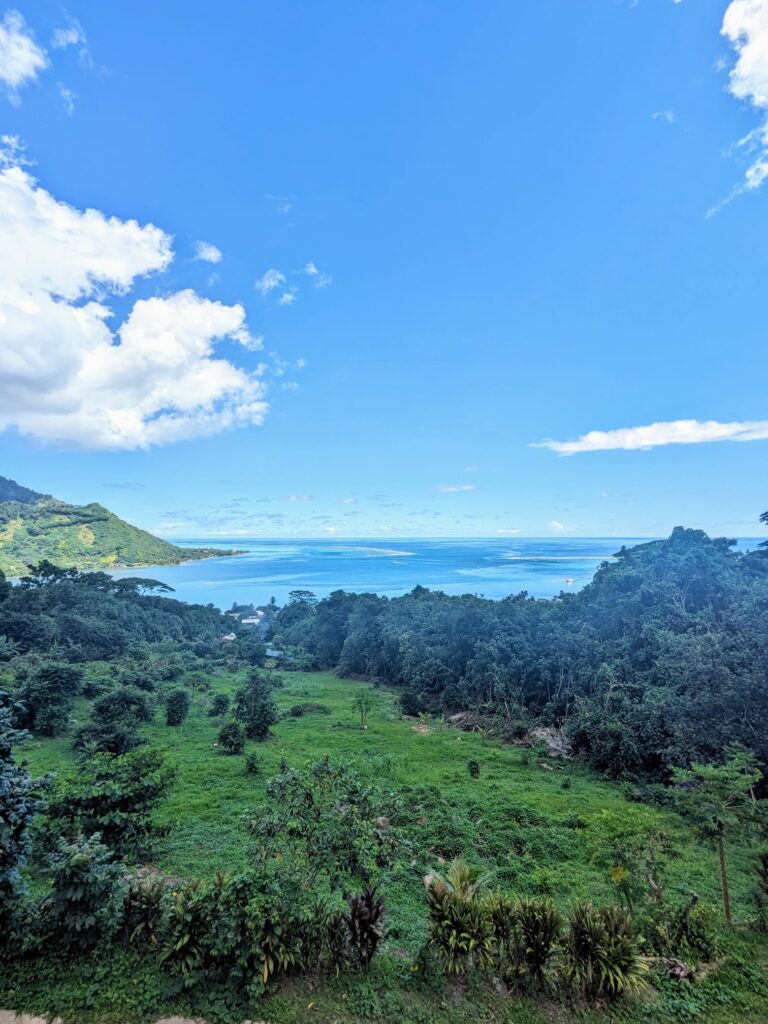 vue tropical garden moorea